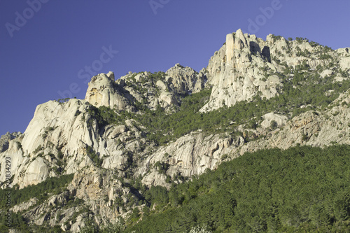 montagne corse (region de bavella))