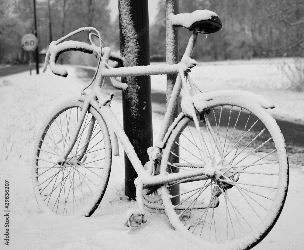 Obraz premium bike in the snow