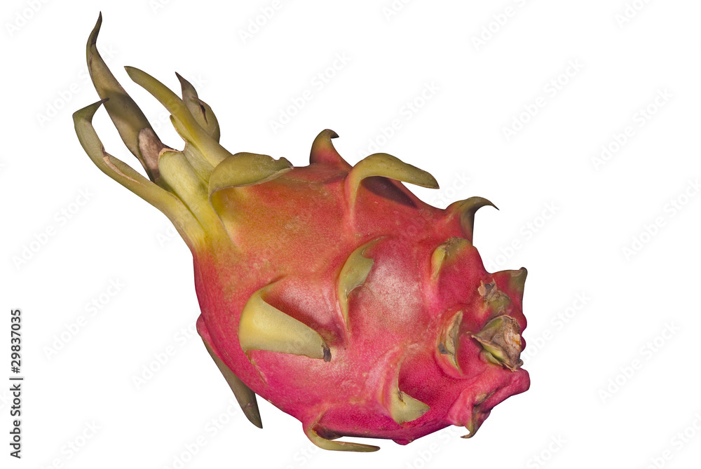 dragonfruit dragonfruit