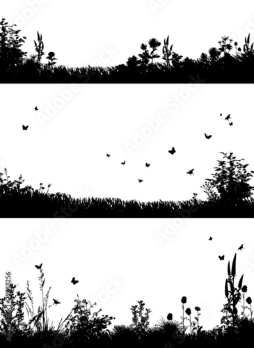 foregrounds