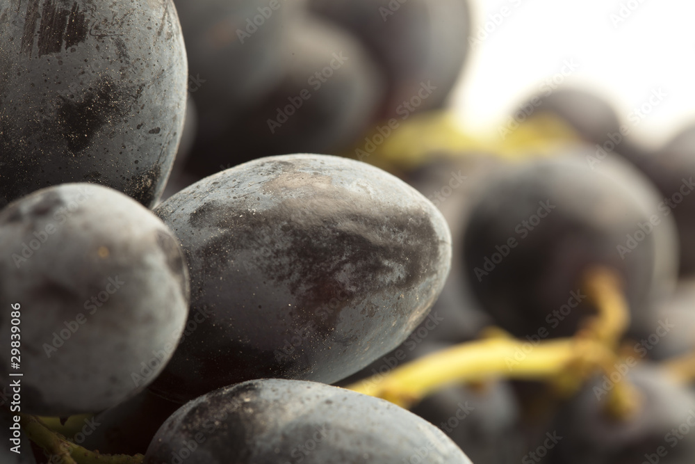 grapes grapes
