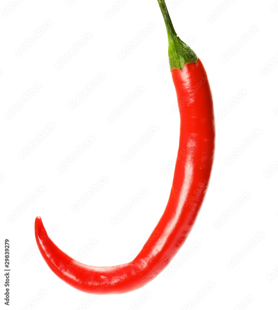 Chili papper Chili papper