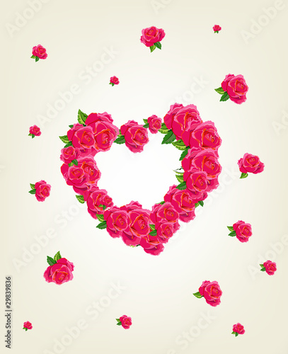 Roses Herat frame