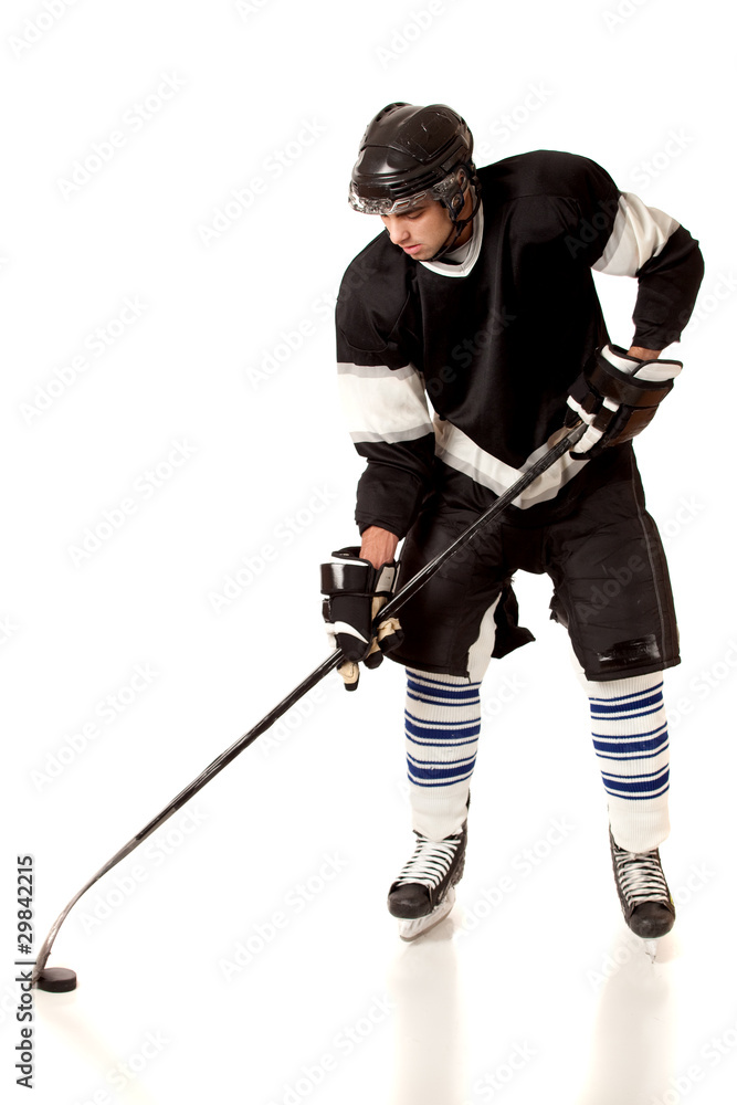 Fototapeta premium Hockey Player