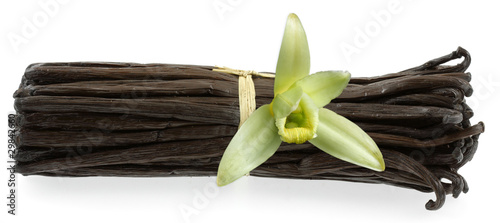 Photos fleur véritable de vanille sur botte de vanille Bourbon