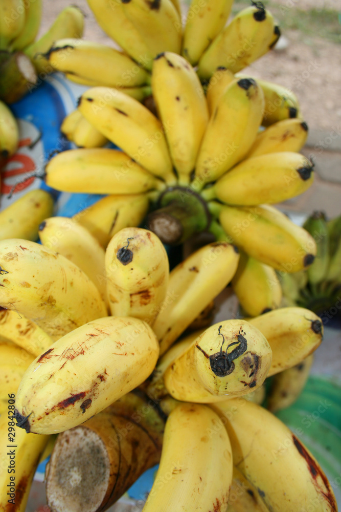Banana in Thailand.