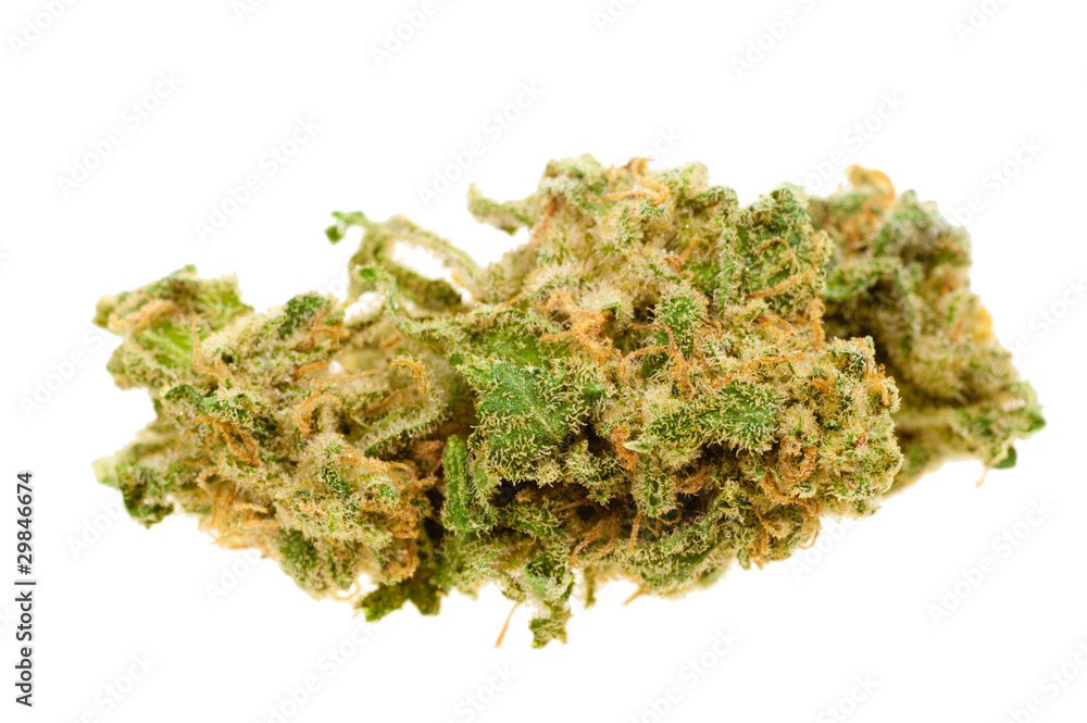 Close up of marijuana (Cannabis) Close up of marijuana (Cannabis)