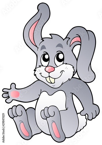 Cute sitting bunny