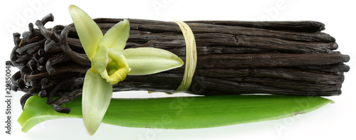 fleur, feuille et gousses de vanille Bourbon photo