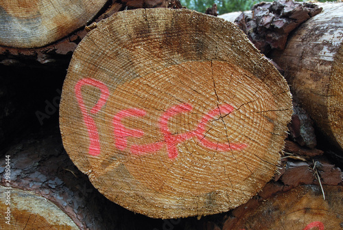 фотографія Bois certifié PEFC - gestion forestiere durable