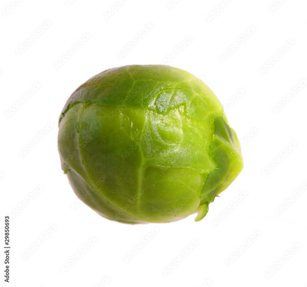 Naklejka premium rosenkohl