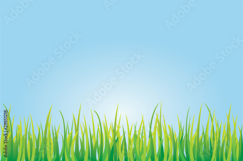 Wiese
