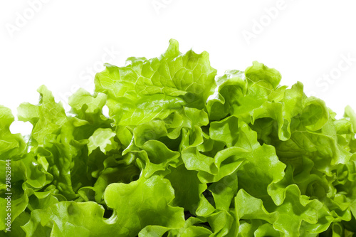 lettuce salad