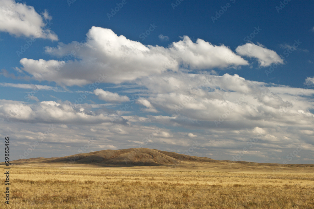 The midday sun in steppe summer day