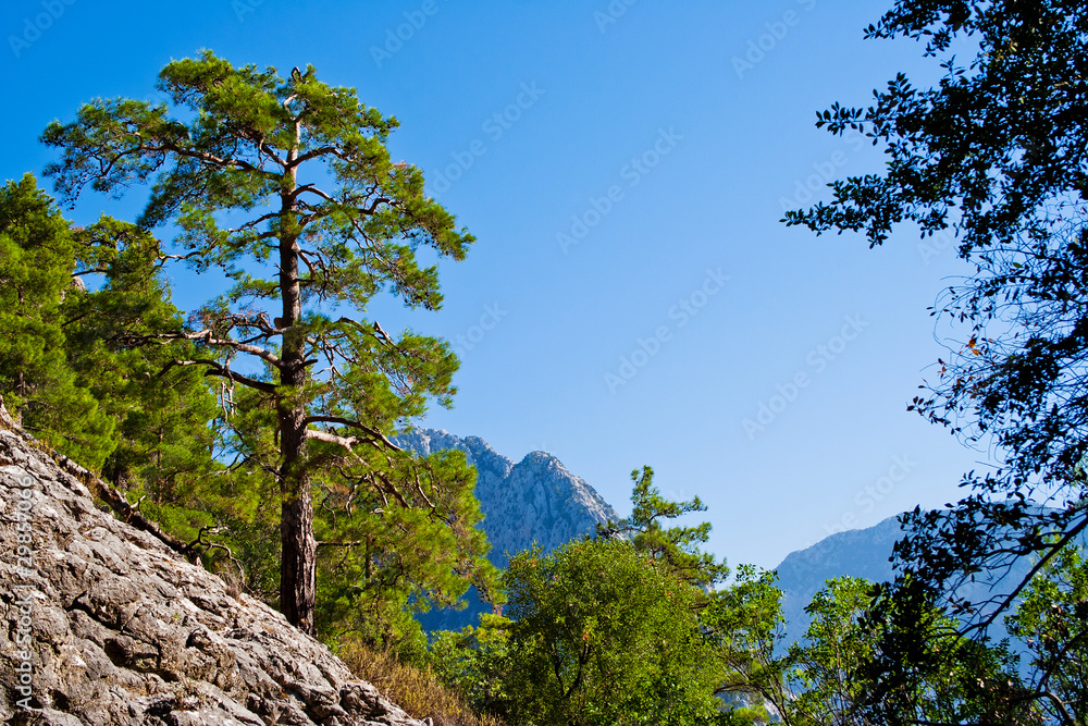 Fototapeta premium wild rocks