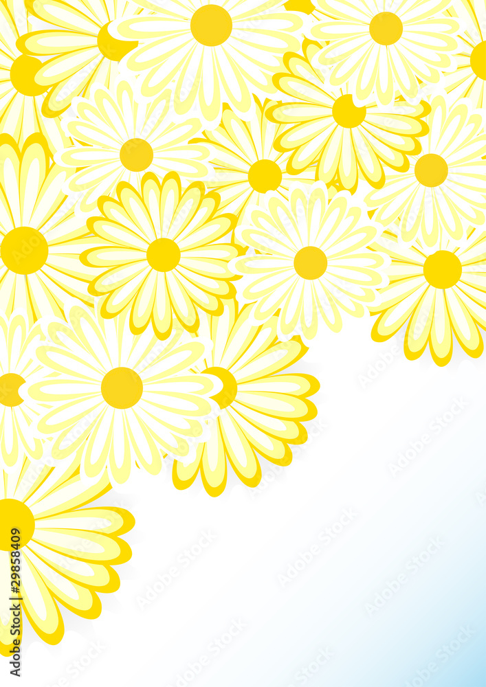 Flowers Flowers