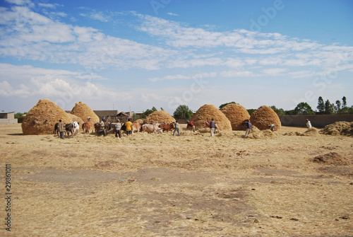 ethiopian farmers