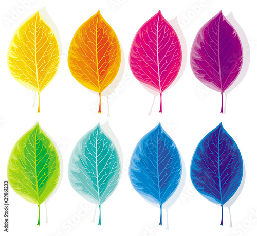 Set of colored leaves