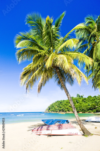 Castara Bay, Tobago © Richard Semik