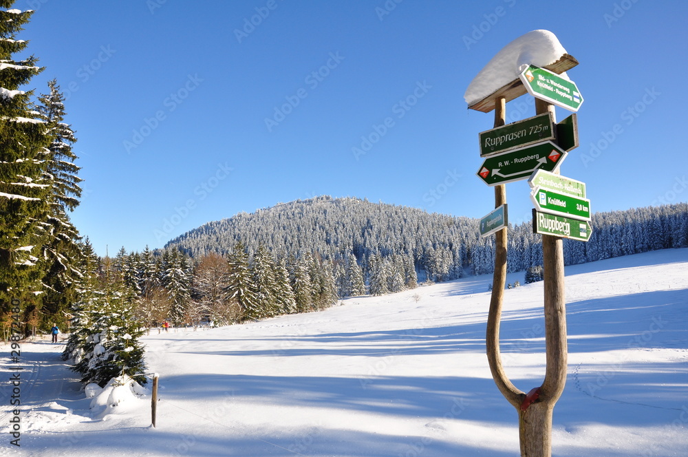 Naklejka premium Winter im Thüringer Wald
