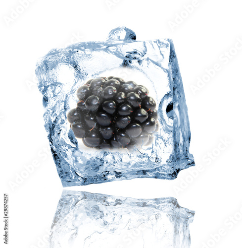 Blackberry in ice cube