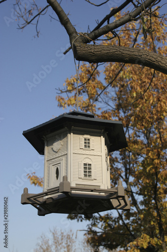 Luxury bird house