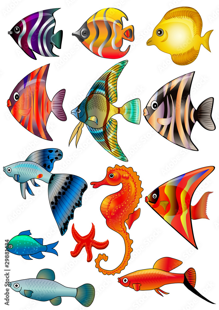 illustration kit fish is insulated