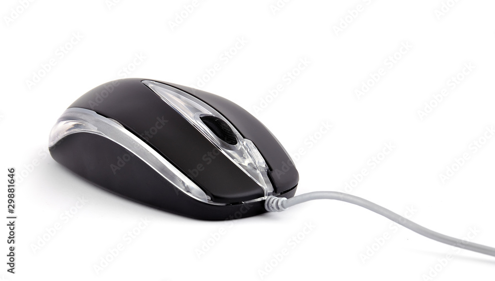 computer mouse