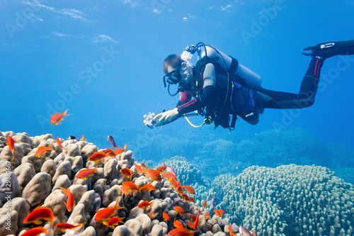 Obraz na płótnie Photographer on the coral reef w salonie