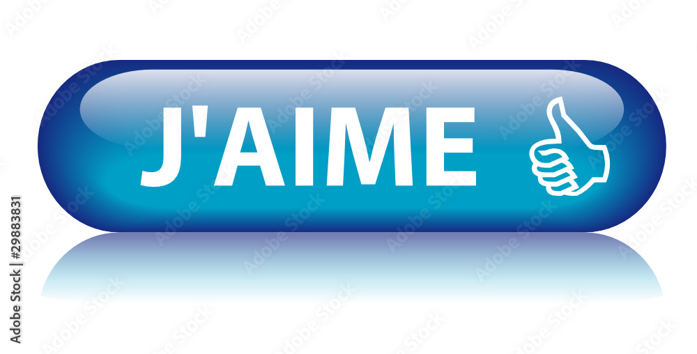 Bouton Web Bouton Web