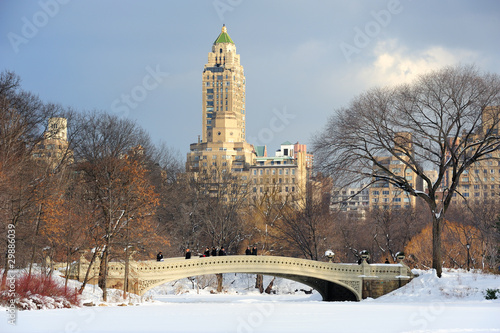 New York City Manhattan Central Park panorama in winter