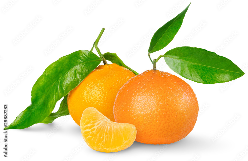 Isolated tangerines. Two tangerine fruits and one peeled segment isolated on white background Isolated tangerines. Two tangerine fruits and one peeled segment isolated on white background