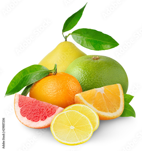 Isolated citrus fruits. Heap of orange, tangerine, lemon and grapefruit pieces, and pomelo isolated on white background