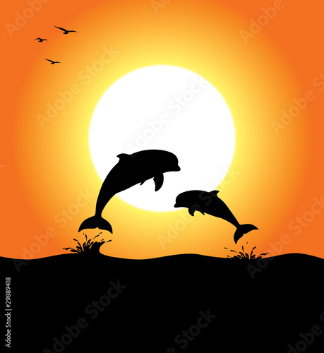 Fototapeta Naklejka Na Ścianę i Meble -  Dolphins at Sunset