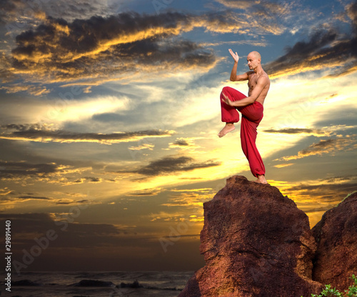 Martial Artist