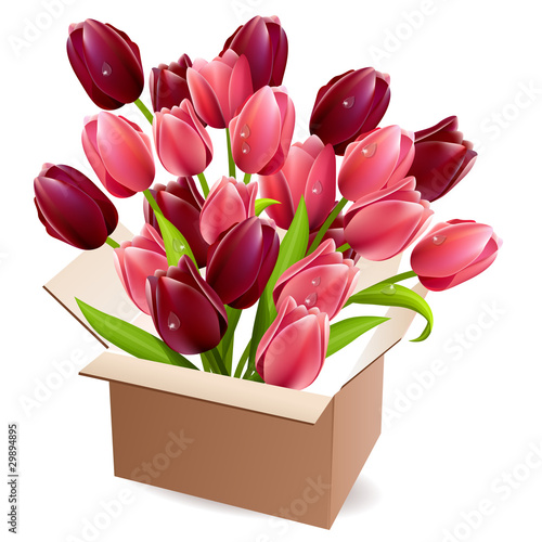 Open box full of red and purple tulips