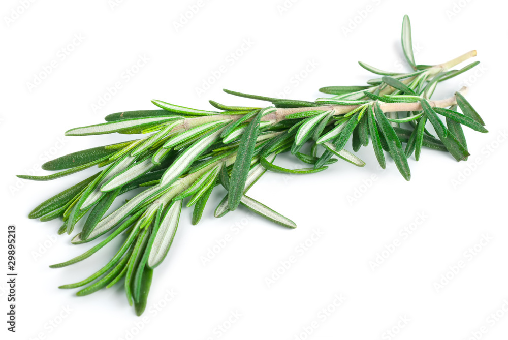 Rosemary