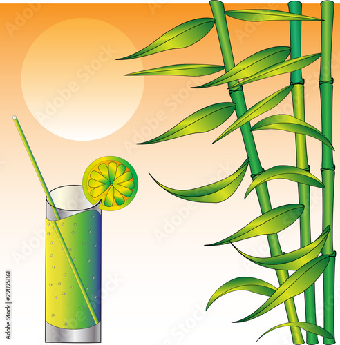 Sunset, bamboo and glass, vector illustration.