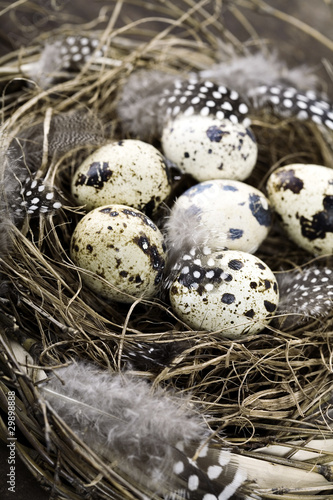 Birds nest with eggs (easter composition)