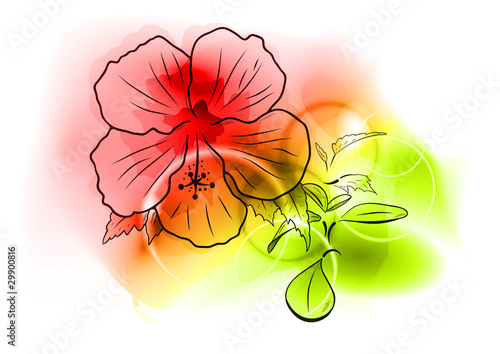 flower abstract