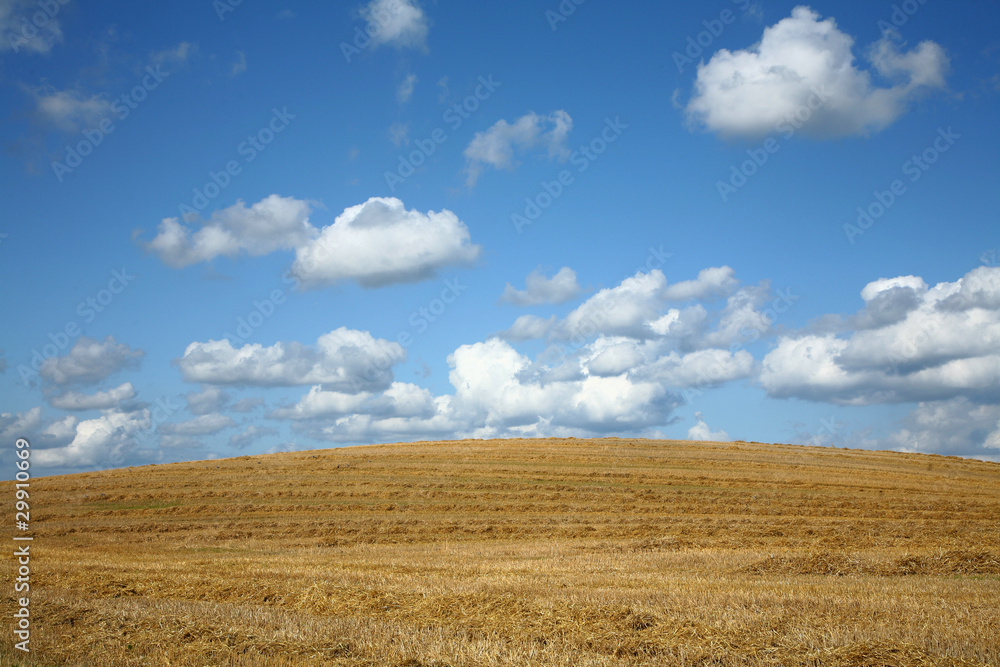 Clouds in blue sky over a dry field