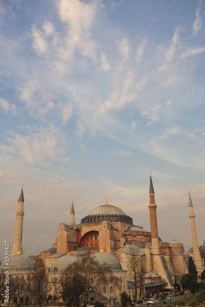 Fototapeta premium turkey istambul mosque