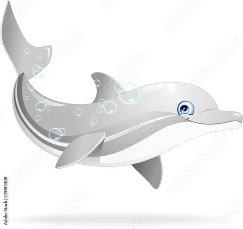 Delfino Cartoon-Dolphin Cartoon-Vector