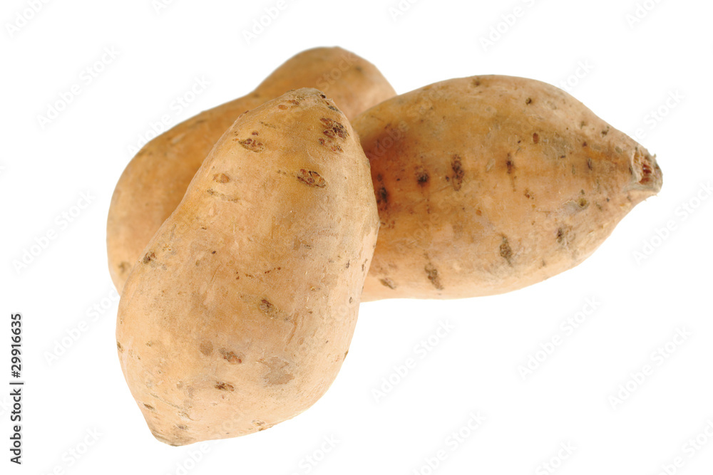 Sweet potatoes (lat. Ipomoea batatas) Sweet potatoes (lat. Ipomoea batatas)
