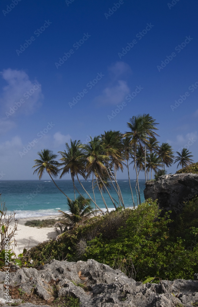Bottom Bay Beach - Barbados