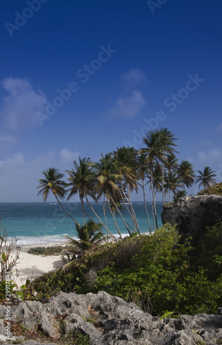 Bottom Bay Beach - Barbados © Andrew S.