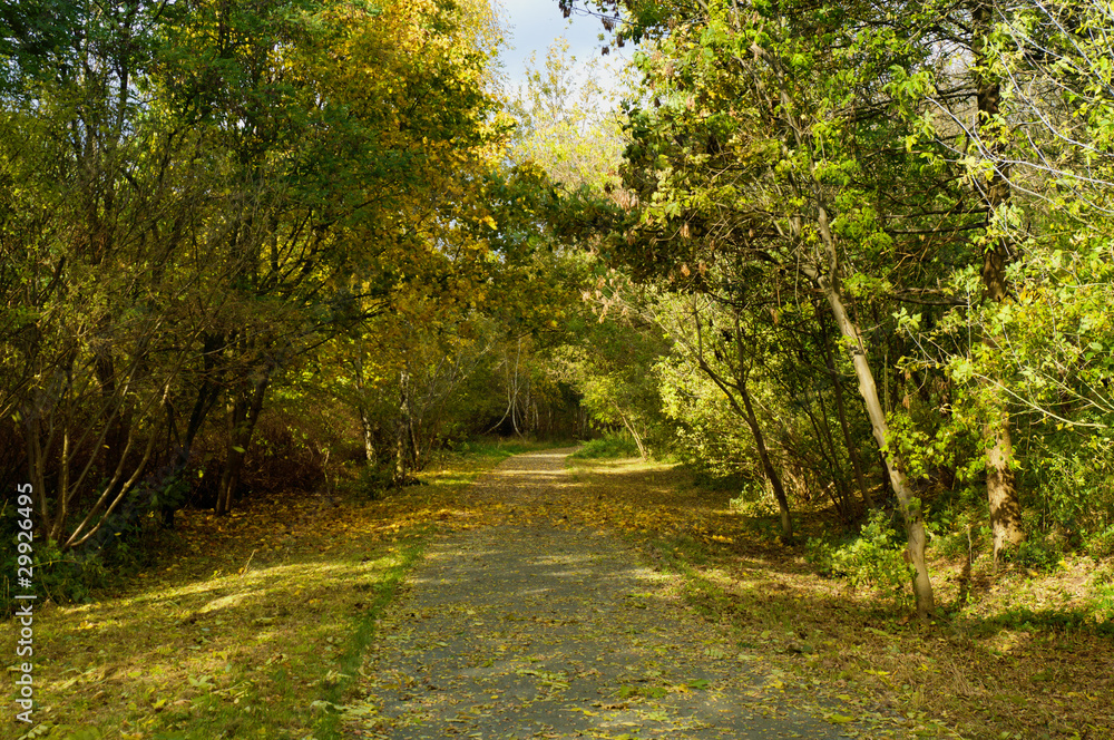 Autumn Landscape Autumn Landscape