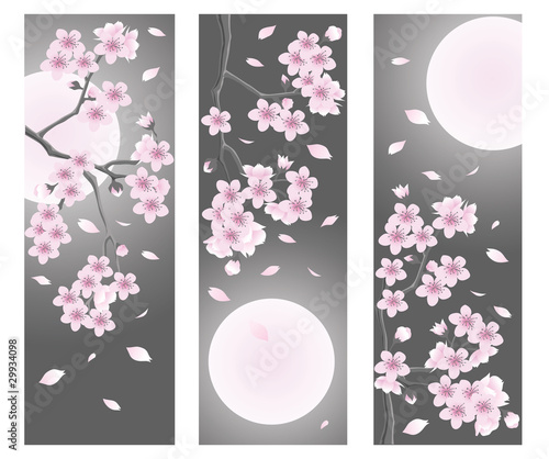 Spring flower banner. vector illustration