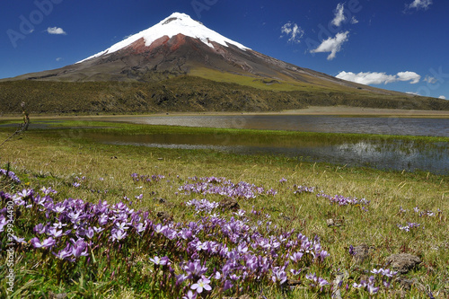 Vulcano Cotopaxi , Ecuador