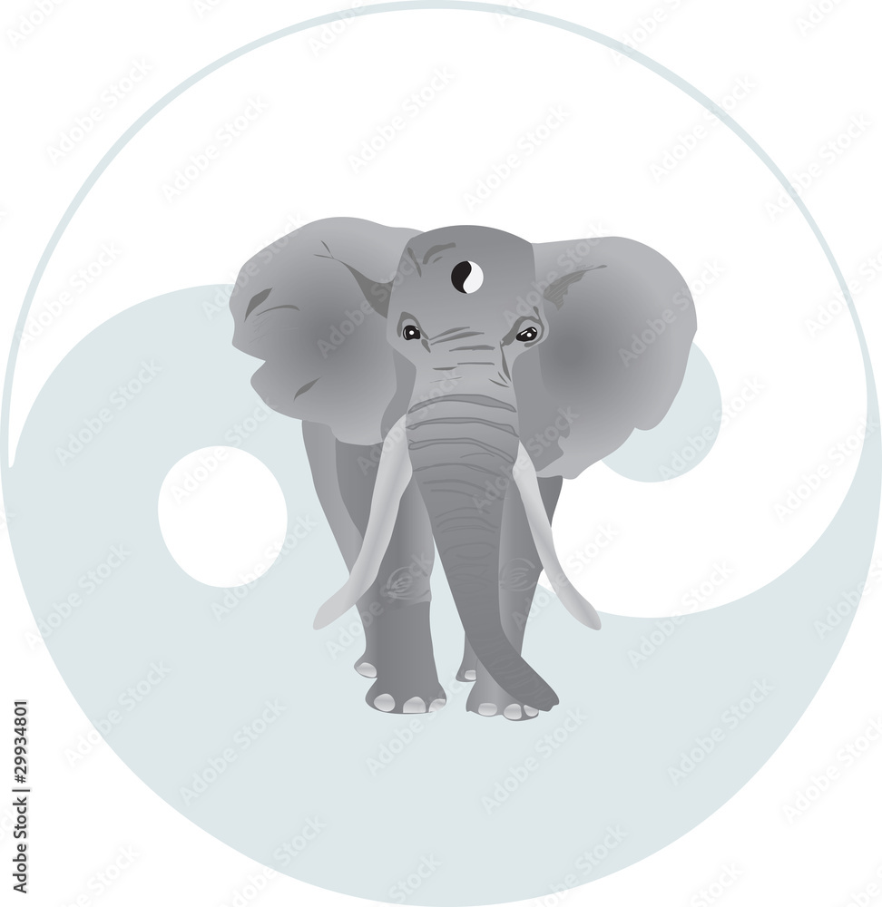 Fototapeta premium Elefant